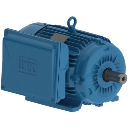 Motor PG005181CSD